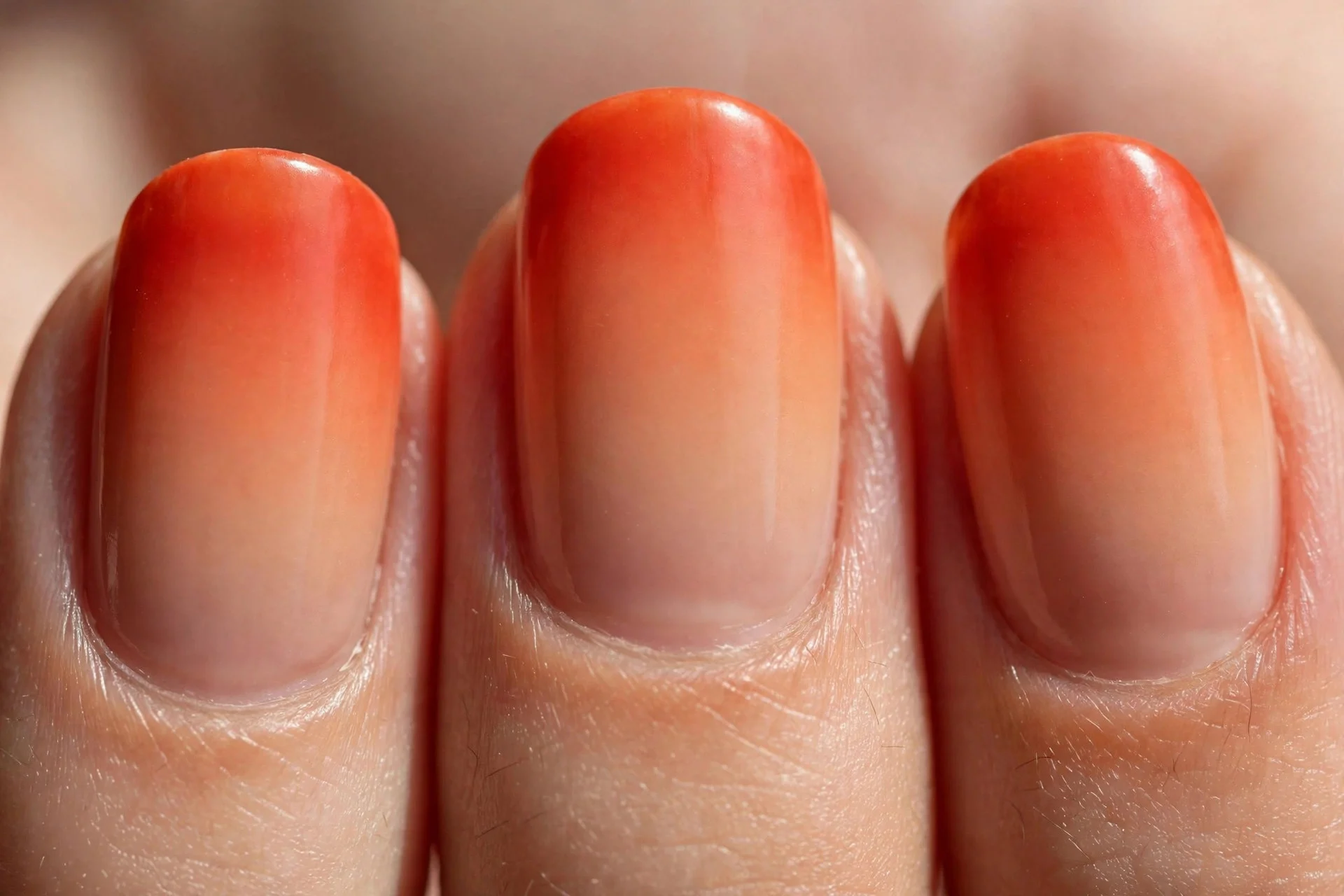 Extreme macro of three fingernails with blood orange to nude gradient ombré, seamless blend, soft daylight