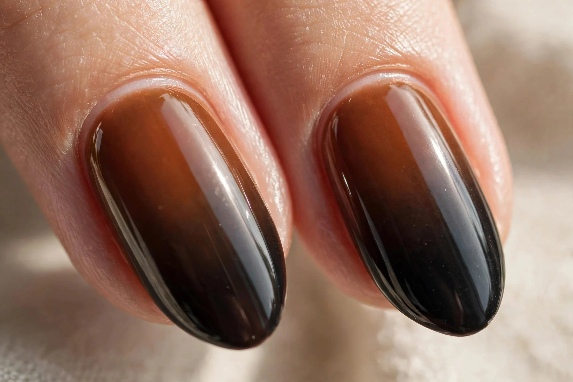Close-up of two fingernails with an ombr&eacute; fading from espresso brown at the cuticle to near-black at the tip, glossy