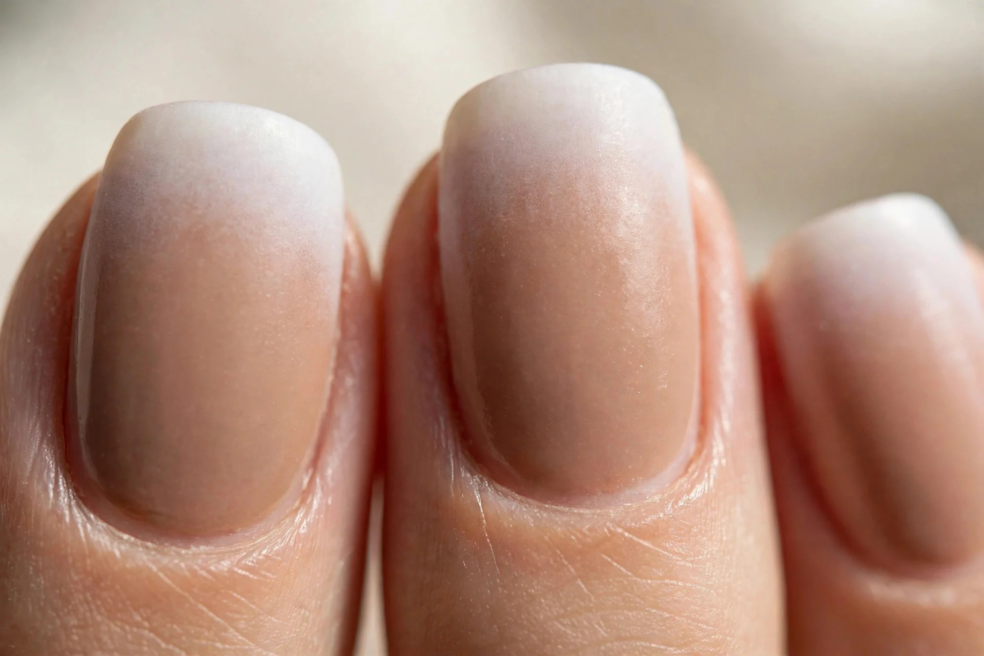 nails with softly blended white tips over light brown base