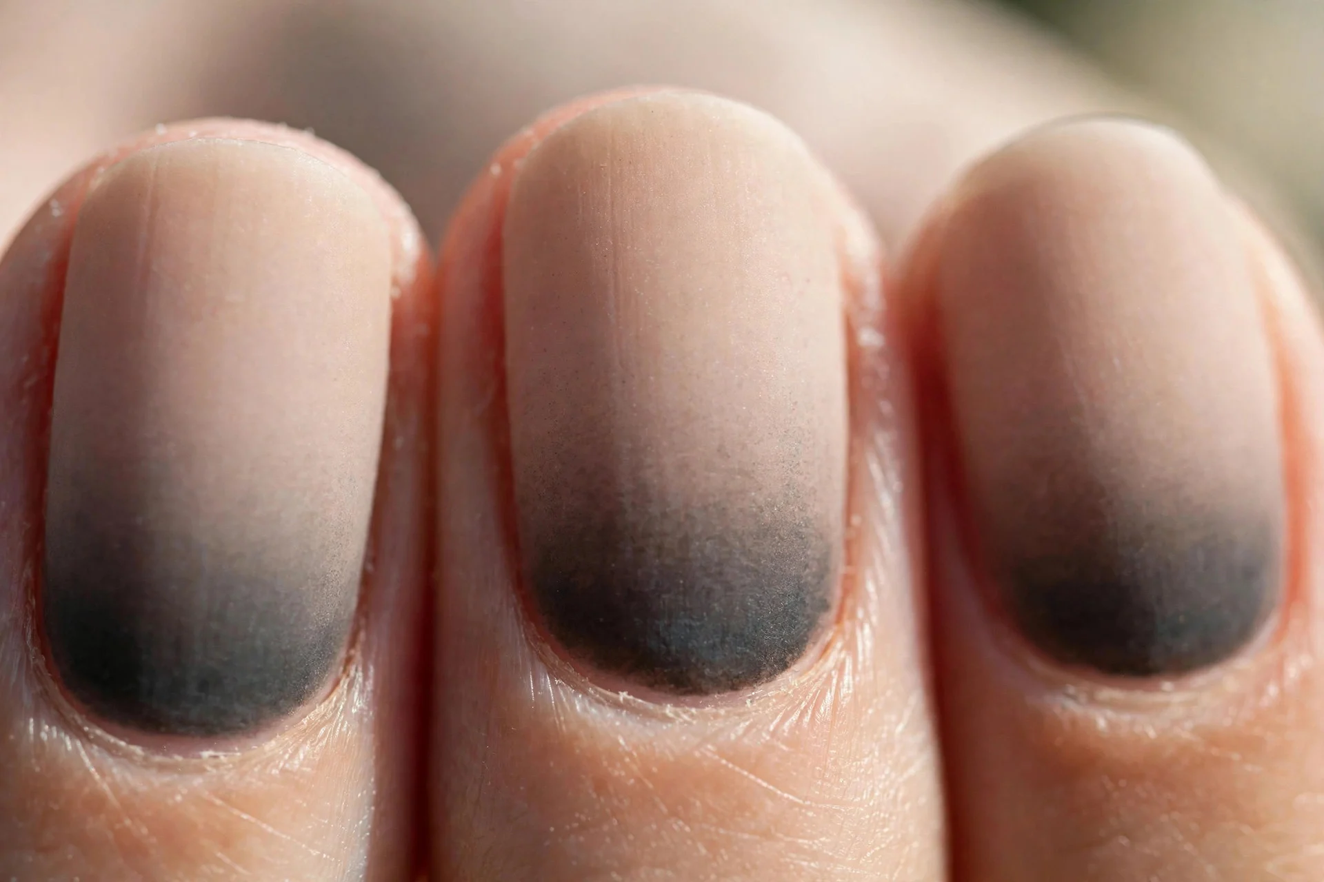 ombre nails fading from dark smoky grey to light nude