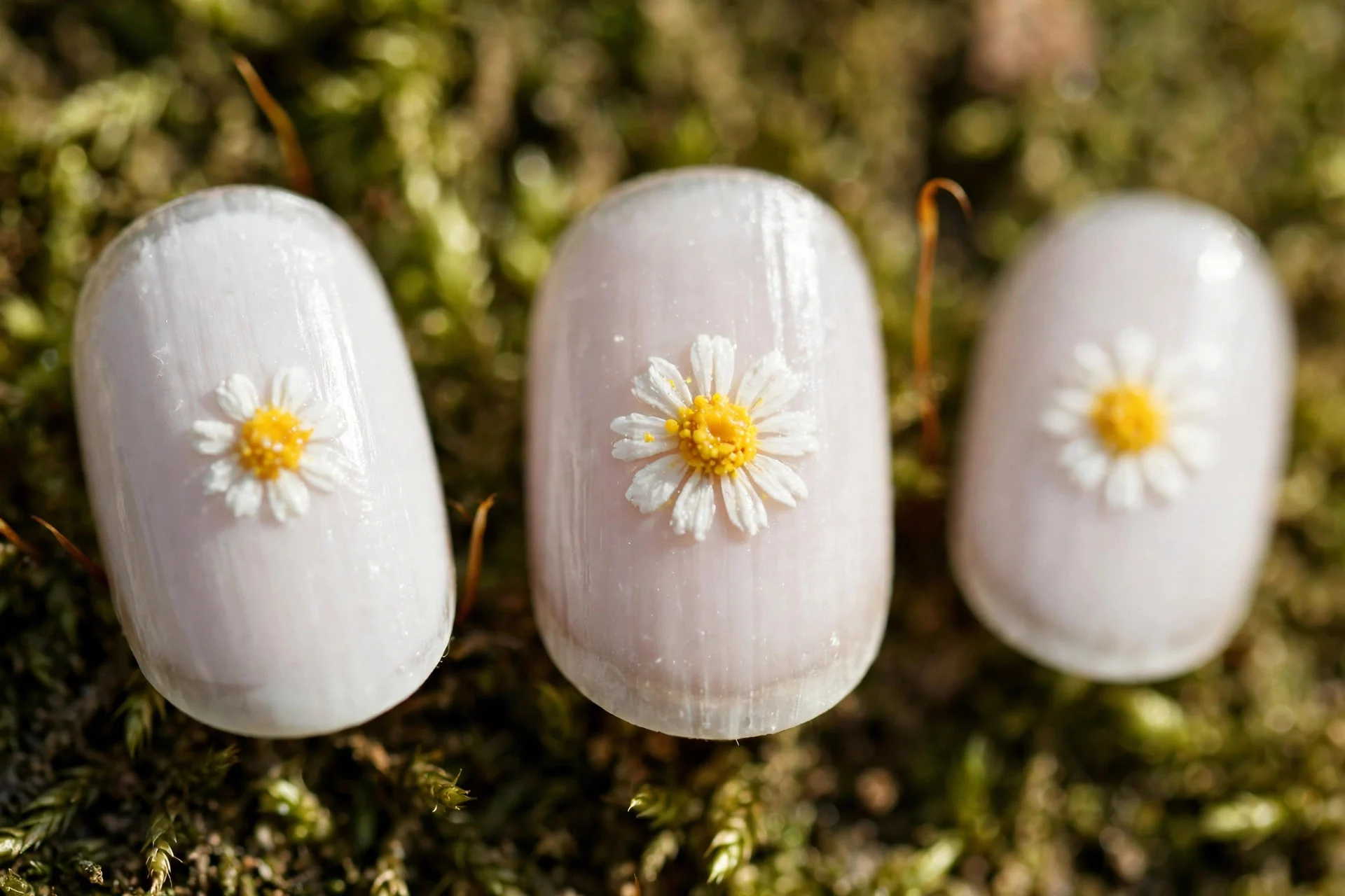 White base with yellow-centred daisy art, short oval nails
