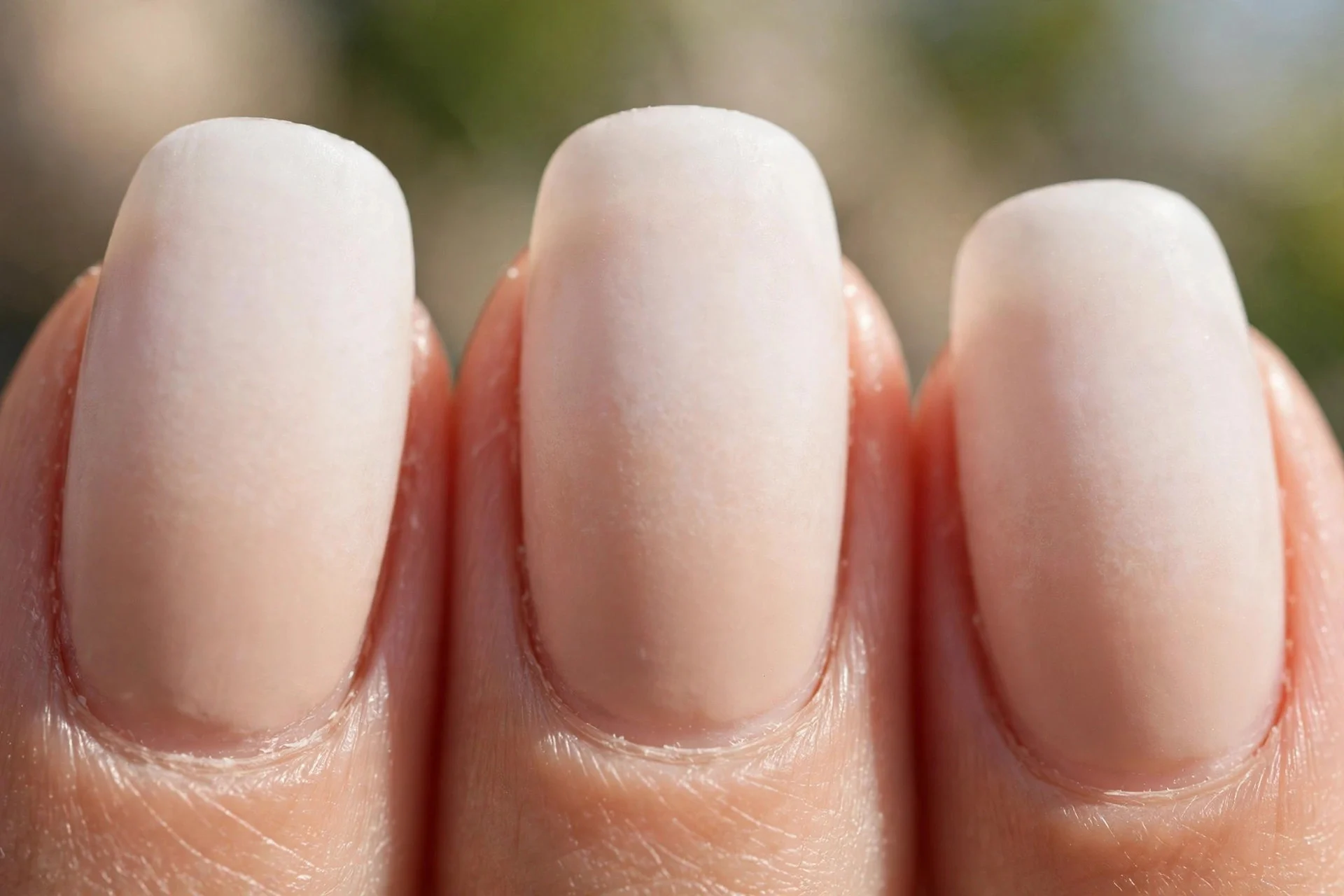 nails with a soft milky white ombr&eacute; fading from nude at the cuticle